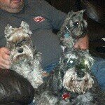 @heidi_crouch_1025 - Instagram