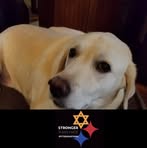Heidi Crow - Facebook