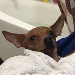 Heidi Crowe - @heidi._.crowe143 - Instagram