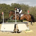 Heidi Crowell Equestrian - @heidicrowellequestrian - Instagram