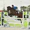 heidihewlettcrowe - @heidihewlettcrowe - TikTok