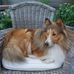 Heidi Denis - Facebook
