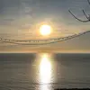 Heidi Dennison - @gracieabramsfan_1 - TikTok