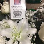 Heidi Ann Doherty - @heidiannd66 - Instagram