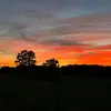 Heidi doss - @heidi9800 - TikTok