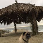 Heidi Dowd - @heidikean - Instagram