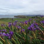 Heidi Drummond - @hdrum555 - Instagram