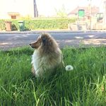 HeidiDrummond - @heidi_drummond_ - Instagram