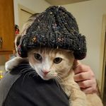 Heidi Duncan - @duncheidi - Instagram