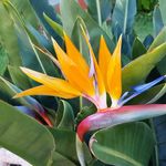 Heidi Duncan - @heididuncan2019 - Instagram