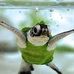 Heidi Durbin - Facebook