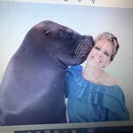 Heidi Dyer - @heidi.dyer.3 - Instagram