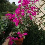 Heidi Eckert - @heidi.eckert45 - Instagram