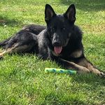 Heidi Eckert - @eckert9744 - Instagram