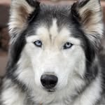 Heidi Eckert - @heidi.eckert.7 - Instagram