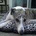 Heidie Edmonds - Facebook
