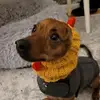 Heidi Brenegan - @heidibrenegan - TikTok