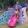 heidi_egan6_7 - @heidi_egan6_7 - TikTok