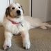 Heidi Egan - Facebook