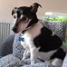 Heidi Egan - Facebook