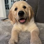 Heidi Egan-Briers - @heidijk72 - Instagram