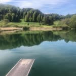 Heidi Keller - @heidikeller4750 - Instagram