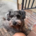 Heidi Elmer - @jeepgrlga - Instagram