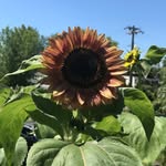 Heidi Elmer - @heidiarts16 - Instagram