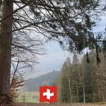 Heidi Engel - @heidi.engel.100 - Instagram