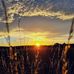 Heidi Engel - Facebook