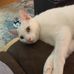 Heidi Engle - Facebook