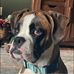 Heidi Epperson - Facebook