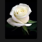 Heidi Estes - Facebook