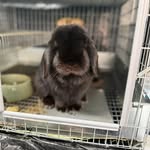 Heidi Everett - @starlight_star_bright0123 - Instagram