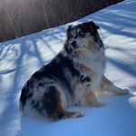 Heidi - @heidifairchild1 - Instagram