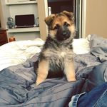 Heidi Faith - @heidi_faith_ - Instagram