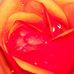 Heidi Farmer - Facebook