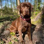 Heidi - @fellnase_heidi - Instagram