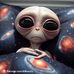 Heidi Fish - Facebook