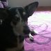 Heidi and zikko forrest - Facebook