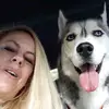 Heidi Freer - @heidi.freer3 - TikTok