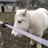 Heidi.Garrett - @igreexgs41d - TikTok