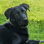 Heidi Garrison - @cadence.hg123 - Instagram