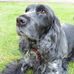 Heidi Gates - Facebook
