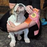 Heidi 'Gates' Heiring - @4boys_and_the_grand_finale - Instagram