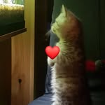 Heidi Geibel - @heidi.geibel - Instagram