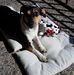 Heidi Gerhardt - Facebook