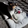 Heidi Gerhardt - @heidi.gerhardt - TikTok