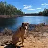 Heidi Gerhardt - @heidi.gerhardt2 - TikTok