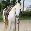 heidi - @heidigerhardt1 - TikTok